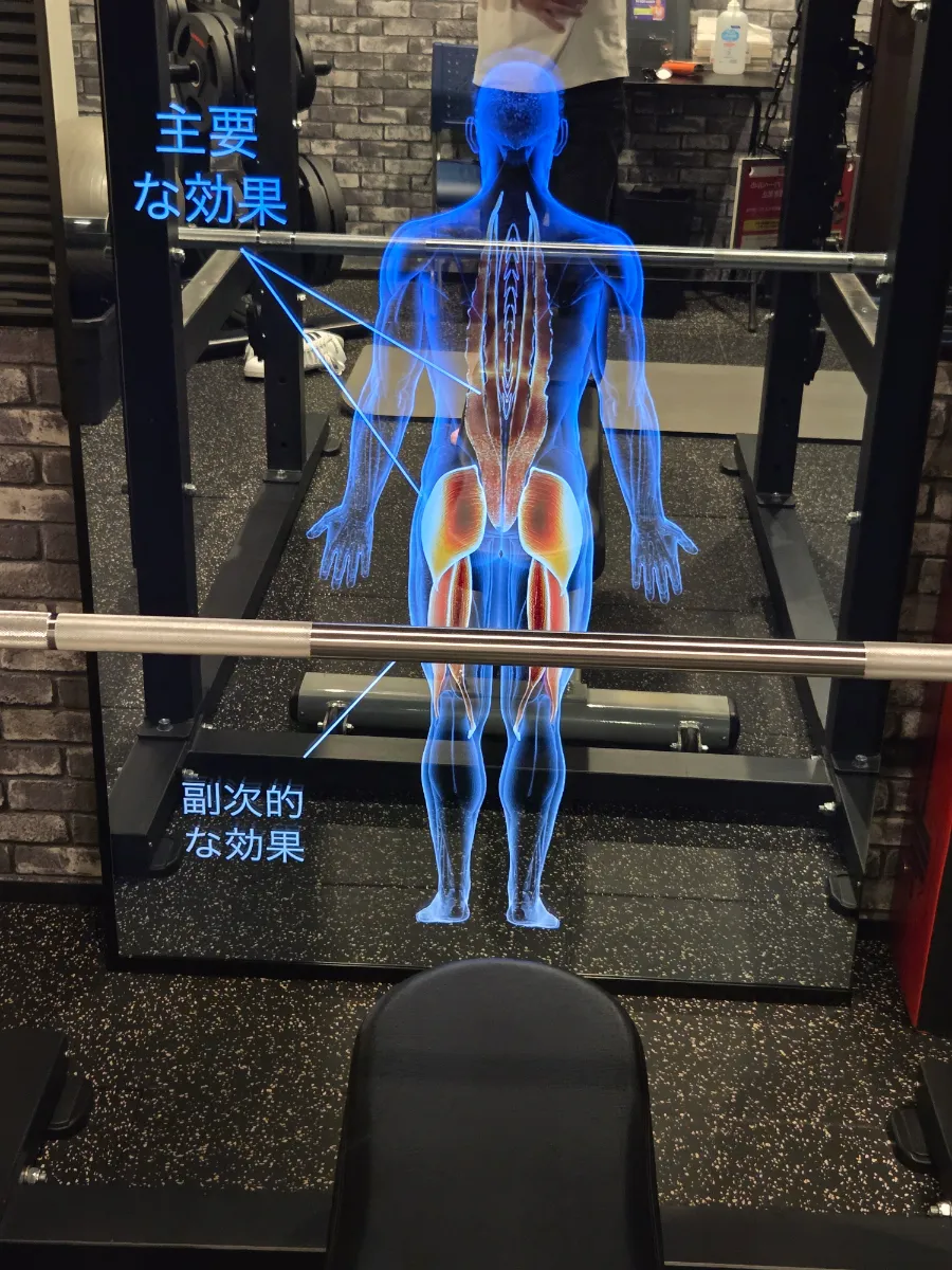 AIスマートミラーに表示された筋肉の解説画面。主な効果と副次的な効果が示されている